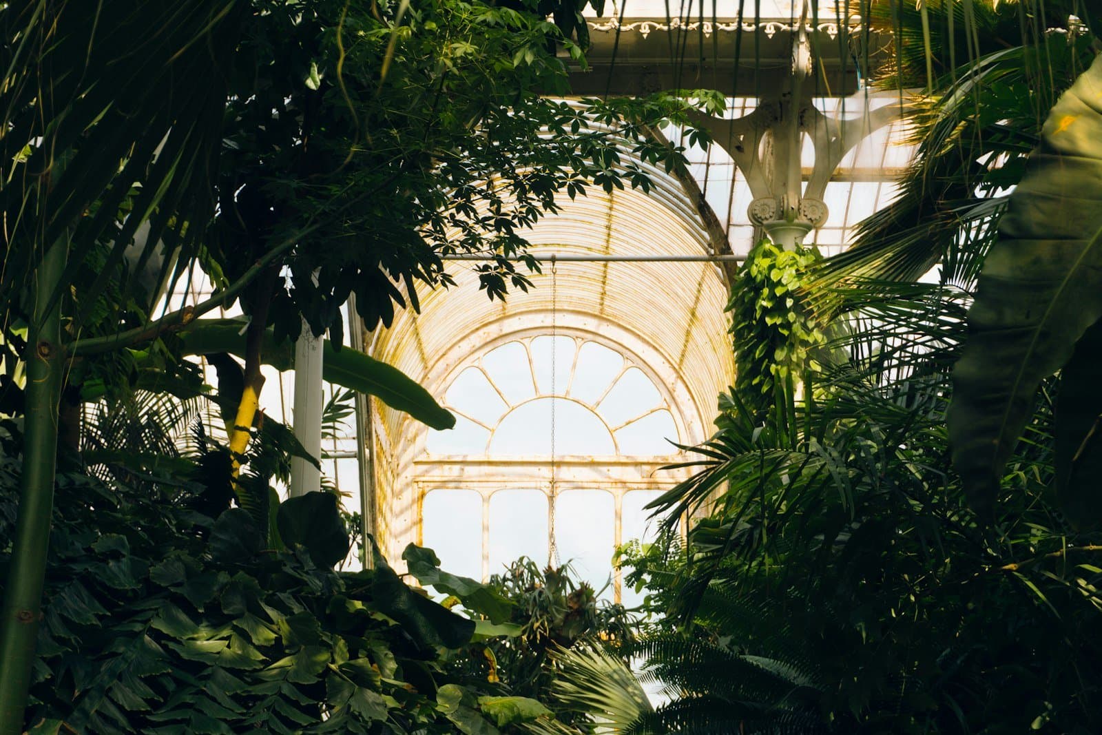 Conservatory, Surrey — External roof solar film
